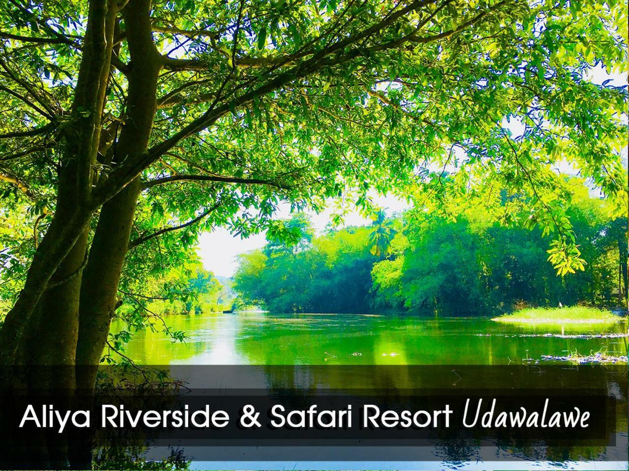 Aliya Riverside&Safari Resort Udawalawe Dış mekan fotoğraf