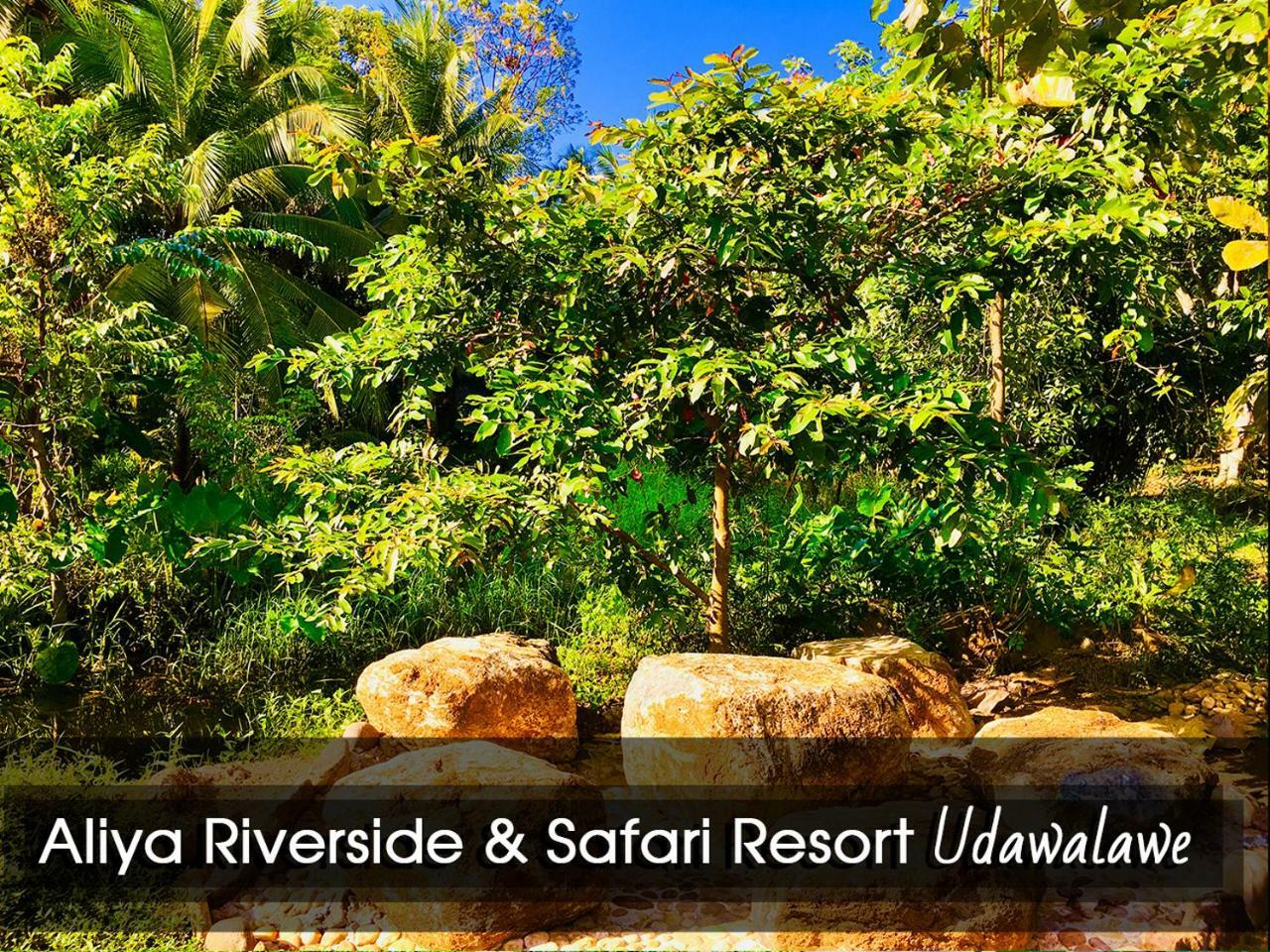 Aliya Riverside&Safari Resort Udawalawe Dış mekan fotoğraf