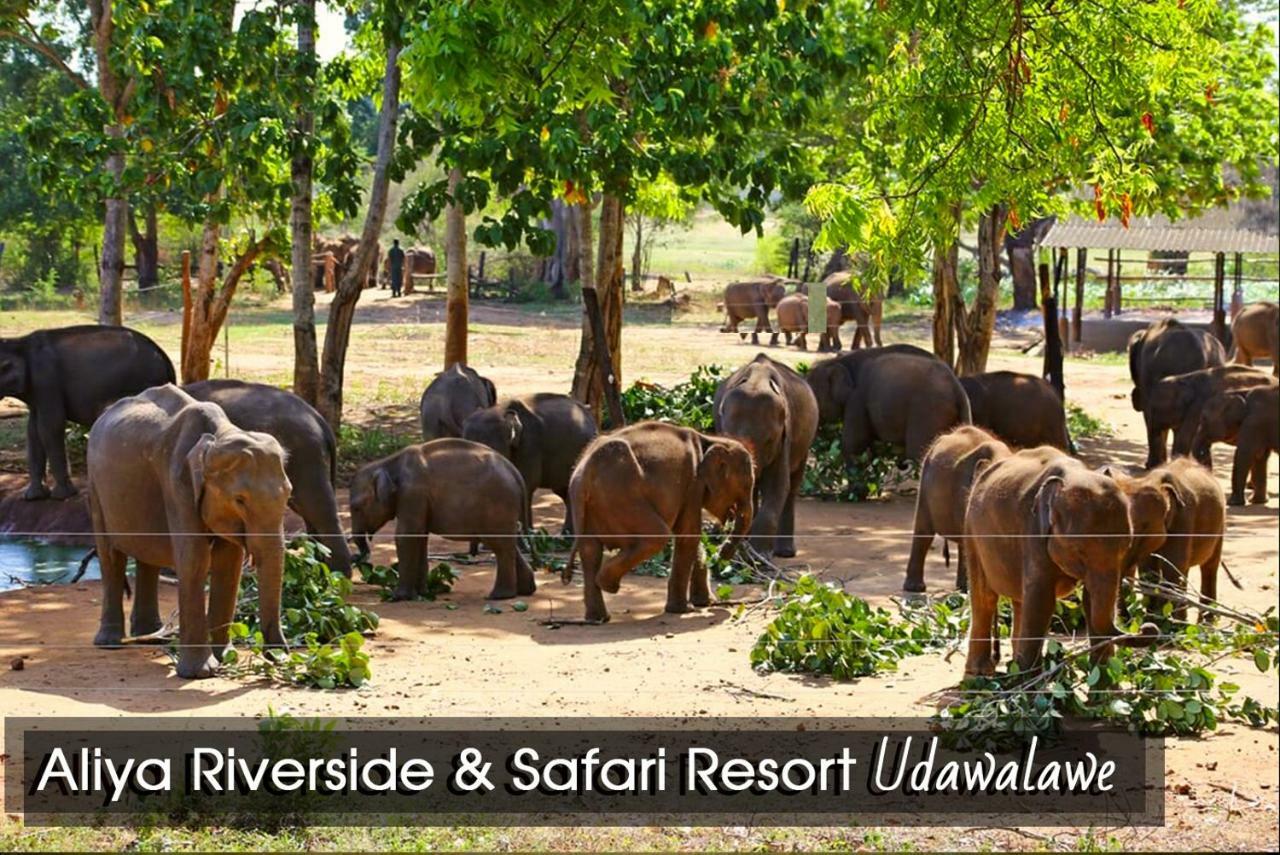 Aliya Riverside&Safari Resort Udawalawe Dış mekan fotoğraf