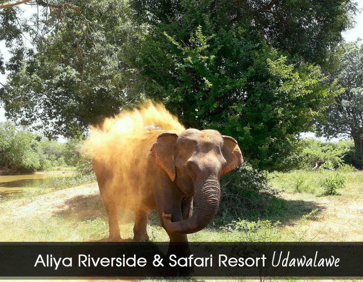 Aliya Riverside&Safari Resort Udawalawe Dış mekan fotoğraf