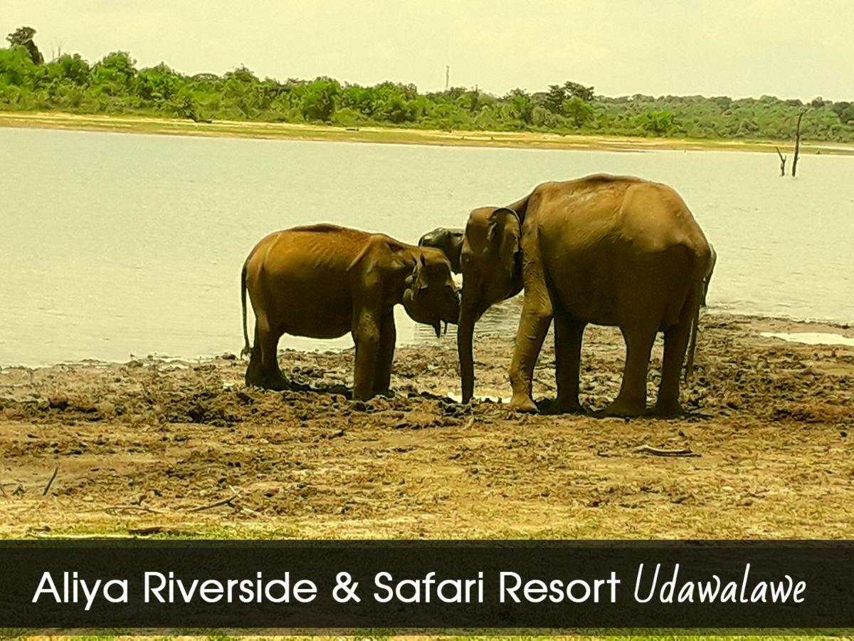 Aliya Riverside&Safari Resort Udawalawe Dış mekan fotoğraf