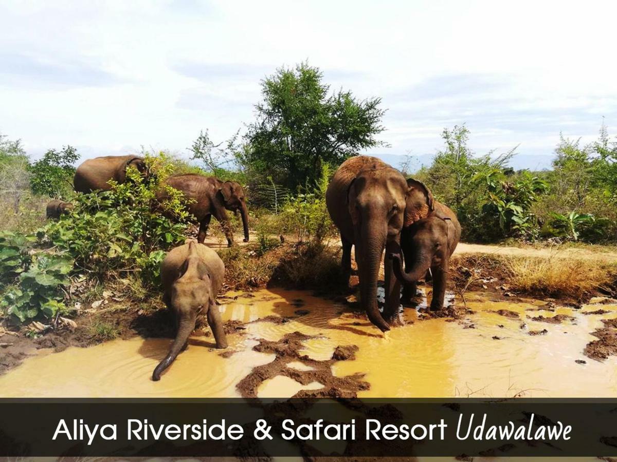 Aliya Riverside&Safari Resort Udawalawe Dış mekan fotoğraf